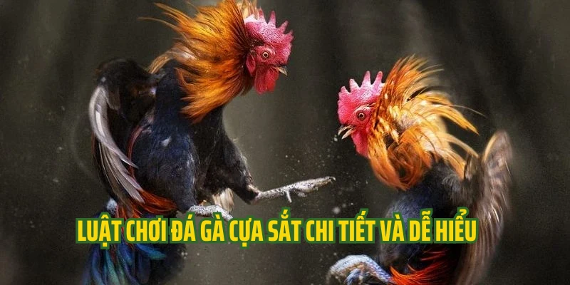 Luật chơi đá gà cựa sắt chi tiết và dễ hiểu 