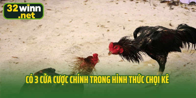 Có 3 cửa cược chính trong hình thức chọi kê 