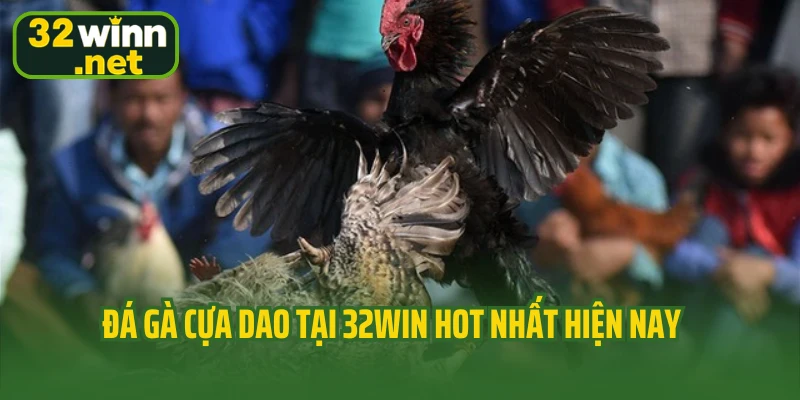 Đá gà cựa dao tại 32WIN hot nhất hiện nay