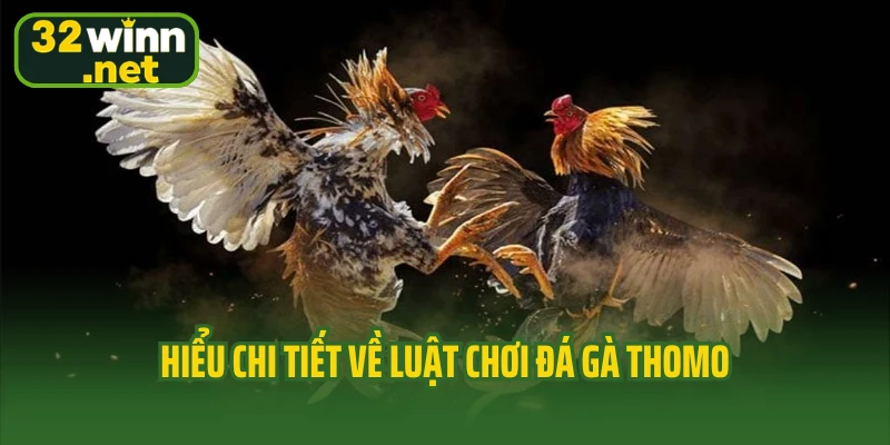 Hiểu chi tiết về luật chơi đá gà Thomo