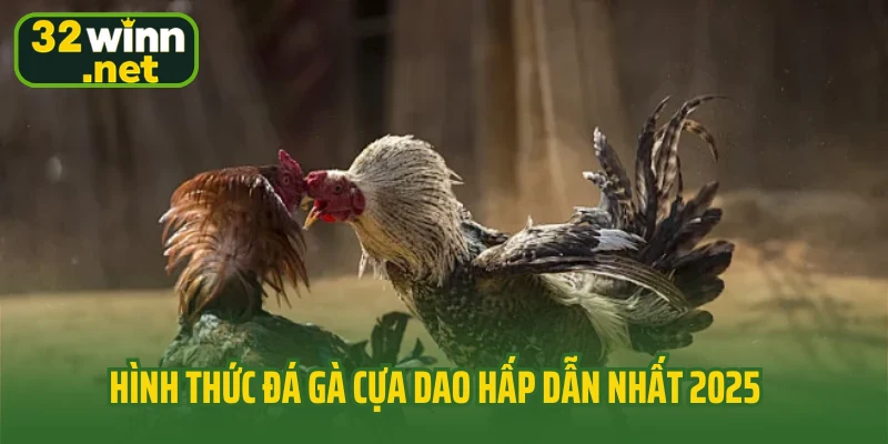 Hình thức đá gà cựa dao hấp dẫn nhất 2025