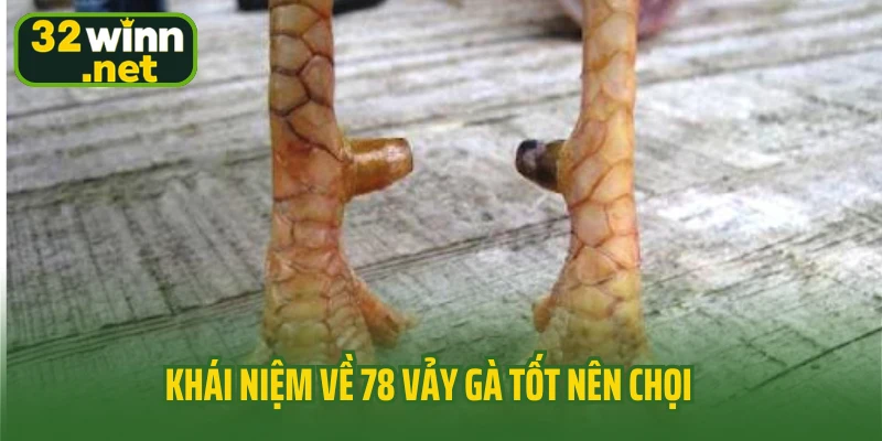 Khái niệm về 78 vảy gà tốt nên chọi