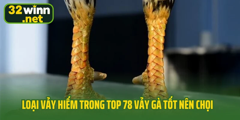 Loại vảy quý hiếm trong top 78 vảy gà tốt nên chọi