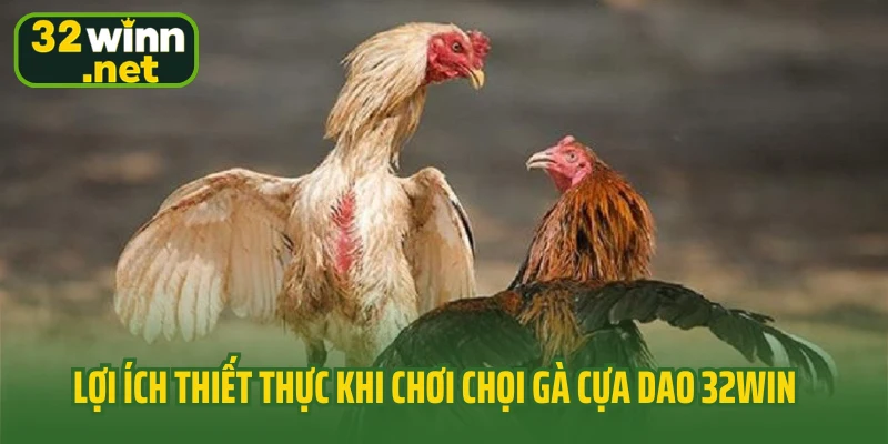 Lợi ích thiết thực khi chơi chọi gà cựa dao 32Win