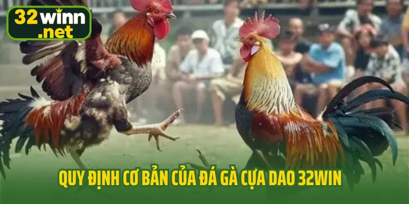 Quy định cơ bản của đá gà cựa dao 32Win