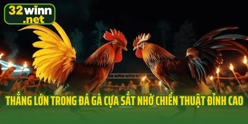 Thắng lớn trong đá gà cựa sắt nhờ chiến thuật đỉnh cao